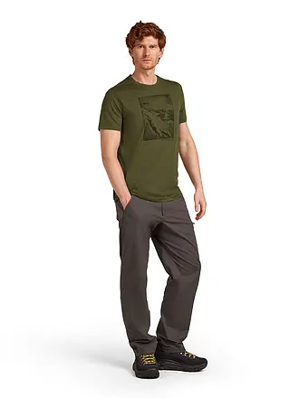 ICEBREAKER | Herren Funktionsshirt Summit 150 Tech | olive